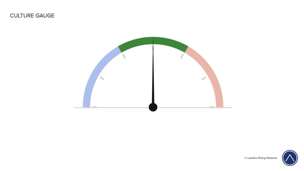 LRN Culture Gauge